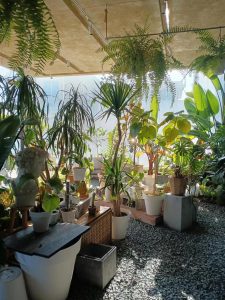 现代学徒制-运行管理系统-艺术2152宋诗羽 太仓迈恩德文化创意有限公司 1月2日