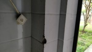 现代学徒制-运行管理系统-艺术2151 杨秀秀 随美 24.4.15