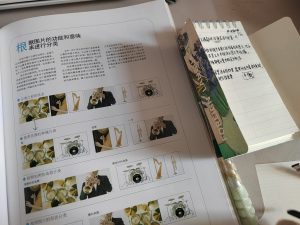 图片[2]-艺术2052张萍萍彦艺设计2024.5.14-现代学徒制-运行管理系统