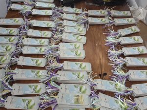 艺术2052彭沛雯(非凡广告)2024.05.14-现代学徒制-运行管理系统