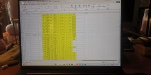 图片[1]-艺术2052甘馨妍（百子莲）2024.5.17-现代学徒制-运行管理系统