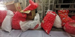 艺术2052甘馨妍(百子莲)2024.5.23-现代学徒制-运行管理系统