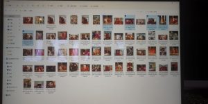 图片[1]-艺术2052甘馨妍（百子莲）2024.5.25-现代学徒制-运行管理系统