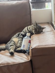 图片[3]-椿芽手作——艺术2052倪海怡2024.5.30-现代学徒制-运行管理系统