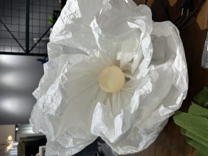 图片[1]-艺术2052陆品棋（艾拉拉婚礼）2024.5.22）-现代学徒制-运行管理系统