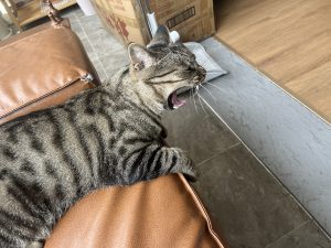 图片[2]-艺术2052刘美洁（椿芽手作）2024.5.13-现代学徒制-运行管理系统