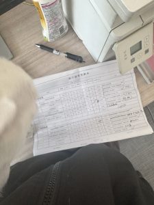 现代学徒制-运行管理系统-艺术2052 陆敏一 梦城文化 2024.5.15