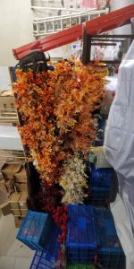 图片[1]-艺术2052盛乔 百子莲婚庆20245.23-现代学徒制-运行管理系统