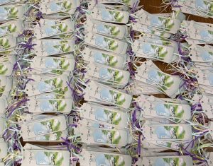 图片[1]-艺术2052孔雯（非凡广告）5.13-现代学徒制-运行管理系统