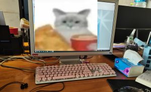 图片[1]-艺术2052盛乔 百子莲婚庆 2024.5.16-现代学徒制-运行管理系统