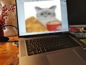 图片[2]-艺术2052盛乔 百子莲婚庆 2024.5.16-现代学徒制-运行管理系统