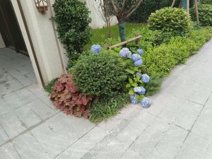 图片[3]-鸿境装饰 艺术2051 吴晨曦 2024-6-5-现代学徒制-运行管理系统