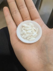 图片[1]-椿芽手作——艺术2052倪海怡2024.6.6-现代学徒制-运行管理系统