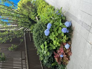 图片[1]-上海鸿境装饰-艺术2051纪艳阳6.19-现代学徒制-运行管理系统