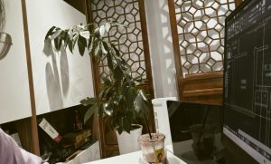 乌篷船装饰-艺术2051张兢-2024.10.29-现代学徒制-运行管理系统