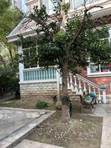 图片[2]-峰奕家装饰 艺术2051 姜静静 2024.11.13-现代学徒制-运行管理系统