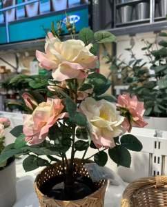 艺术2151王睿(随美)12.19-现代学徒制-运行管理系统