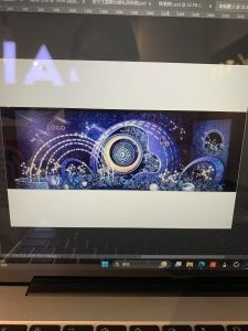 现代学徒制-运行管理系统-艺术2152顾依帆(百子莲)2024.12.15