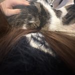 图片[3]-艺术2152李佳佳 春芽手作12.11-现代学徒制-运行管理系统