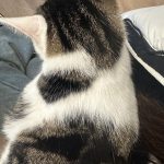 图片[4]-艺术2152李佳佳 春芽手作12.11-现代学徒制-运行管理系统