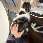 图片[5]-艺术2152李佳佳 春芽手作12.11-现代学徒制-运行管理系统