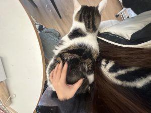 图片[12]-艺术2152李佳佳 春芽手作12.11-现代学徒制-运行管理系统