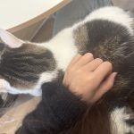 图片[6]-艺术2152李佳佳 春芽手作12.11-现代学徒制-运行管理系统