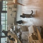 图片[7]-艺术2152李佳佳 春芽手作12.11-现代学徒制-运行管理系统