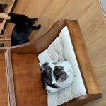 图片[8]-艺术2152李佳佳 春芽手作12.11-现代学徒制-运行管理系统