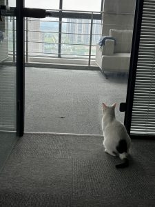 现代学徒制-运行管理系统-艺术2251尤佳林 苏州梦城文化传媒2025.5.7