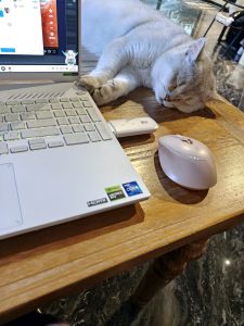 现代学徒制-运行管理系统-艺术2251 陆凤婷 百子莲婚庆2025.5.8