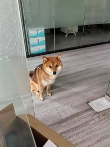 艺术2152严婷婷 卓彤影视 2025年5月27日-现代学徒制-运行管理系统