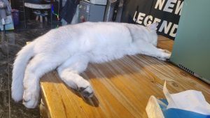 图片[2]-艺术2251 王乐 百子莲婚庆 5.8-现代学徒制-运行管理系统