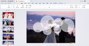现代学徒制-运行管理系统-艺术2152 王栩晨 百子莲 5.28