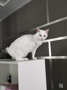 艺术2251 陈苏南 苏州梦城文化传媒有限公司 2025.05.06二-现代学徒制-运行管理系统