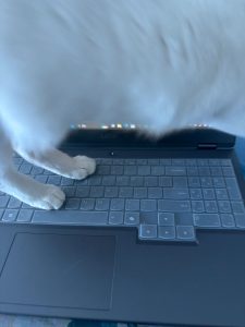 图片[2]-艺术2251尤佳林 苏州梦城文化传媒2025.5.7-现代学徒制-运行管理系统