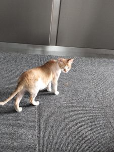 艺术2251 陈苏南 苏州梦城文化传媒有限公司 2025.05.14三-现代学徒制-运行管理系统