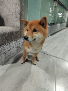 艺术2251 罗欢 卓彤影视 2025.05.10-现代学徒制-运行管理系统