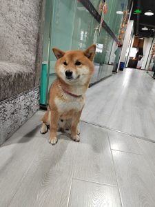 图片[2]-艺术2251 罗欢 卓彤影视 2025.05.10-现代学徒制-运行管理系统