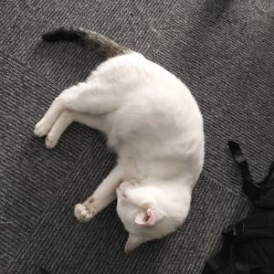 现代学徒制-运行管理系统-艺术2251陈苏南 苏州梦城文化传媒有限公司 2025.05.8四