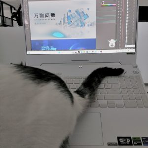 现代学徒制-运行管理系统-艺术2251 陈苏南 苏州梦城文化传媒有限公司 2025.05.12一