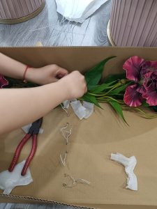 现代学徒制-运行管理系统-艺术2152谷乐文 艾笙婚礼 5.22