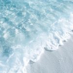 艺术2251陈苏南的头像-现代学徒制-运行管理系统