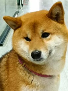 艺术2252 王雅琴 卓彤影视 2025.05.09-现代学徒制-运行管理系统