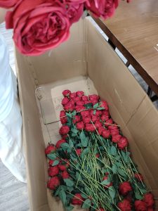 现代学徒制-运行管理系统-艺术2152周浩宇艾笙婚礼5.22