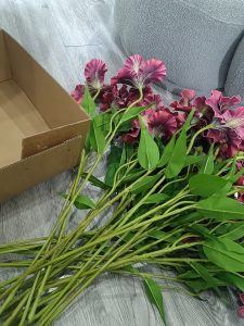 艾笙婚礼  5.23  艺术2152 谷乐文-现代学徒制-运行管理系统