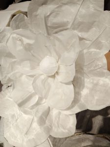 现代学徒制-运行管理系统-艺术2152周浩宇艾笙婚礼6.5