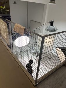 现代学徒制-运行管理系统-艺术2152顾嘉奕 麦恩德 12.16