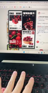 艺术2152谷程康(上核青年)12月5日-现代学徒制-运行管理系统