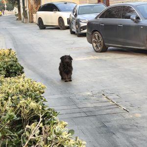 艺术2152 严婷婷 上核文化传媒有限公司 2025年12月17日-现代学徒制-运行管理系统